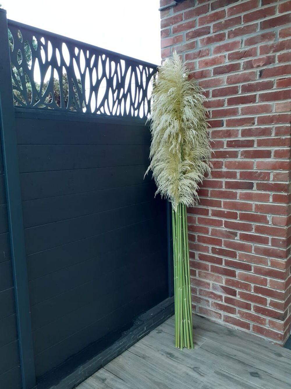 10 plumeaux de Pampa Décoration