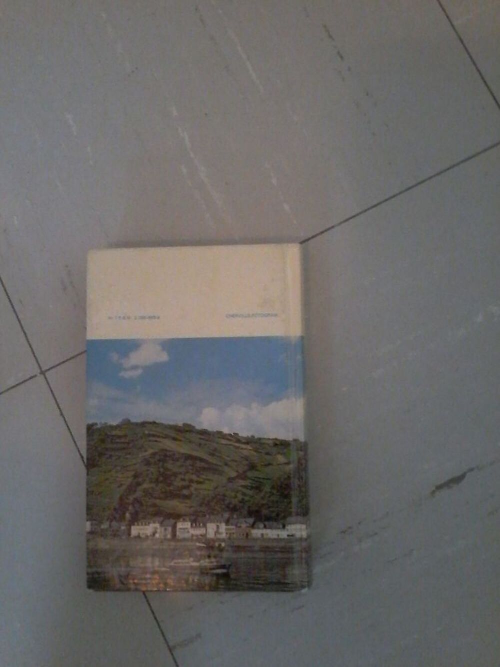 Livre fran&ccedil;ais allemand 