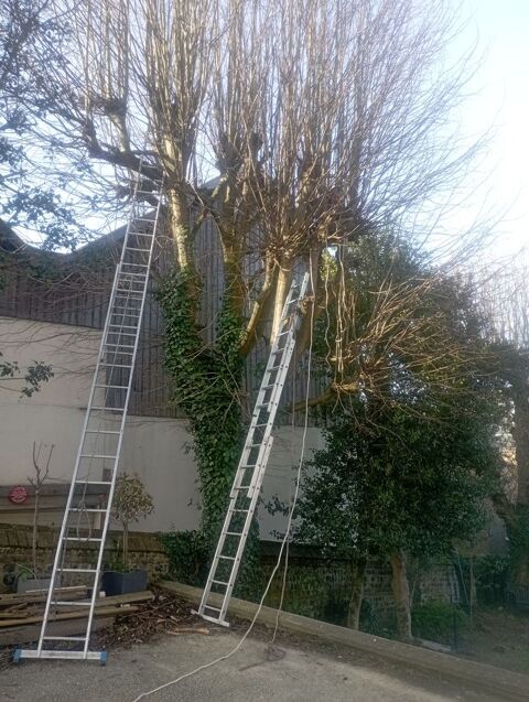 Bonjour entreprise Charles 0 14000 Caen