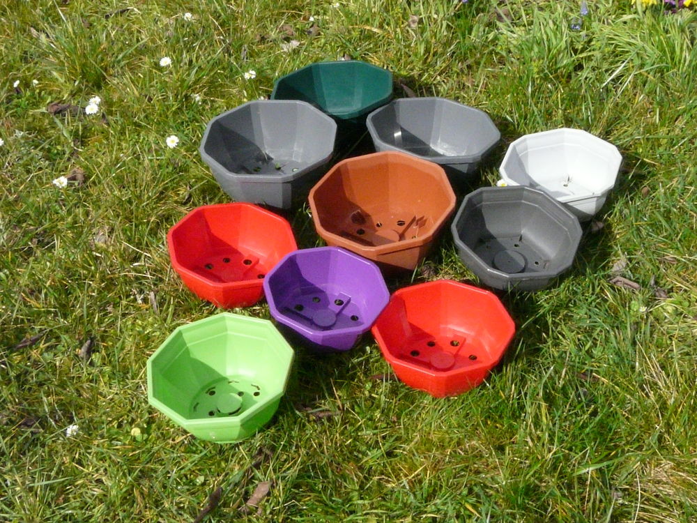 10 coupes octogonales diff&eacute;rentes couleurs Jardin