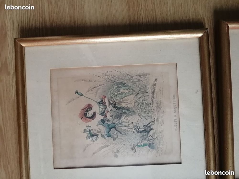 lot gravures graveur Granville fleurs plante femme fleur art 