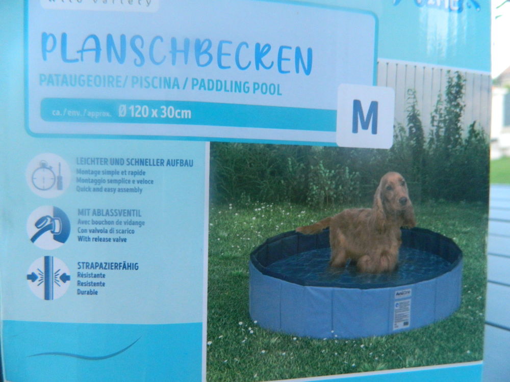 PISCINE POUR CHIEN Jardin