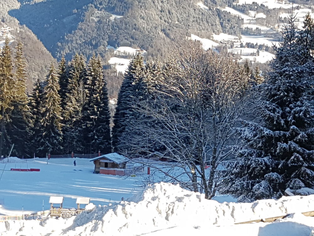 Vente Appartement Appartement au pied des pistes Morillon