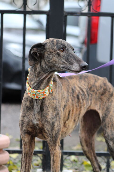 PECA🩷 Je suis peut &ecirc;tre Ton futur bonheur 315 24140 Douville