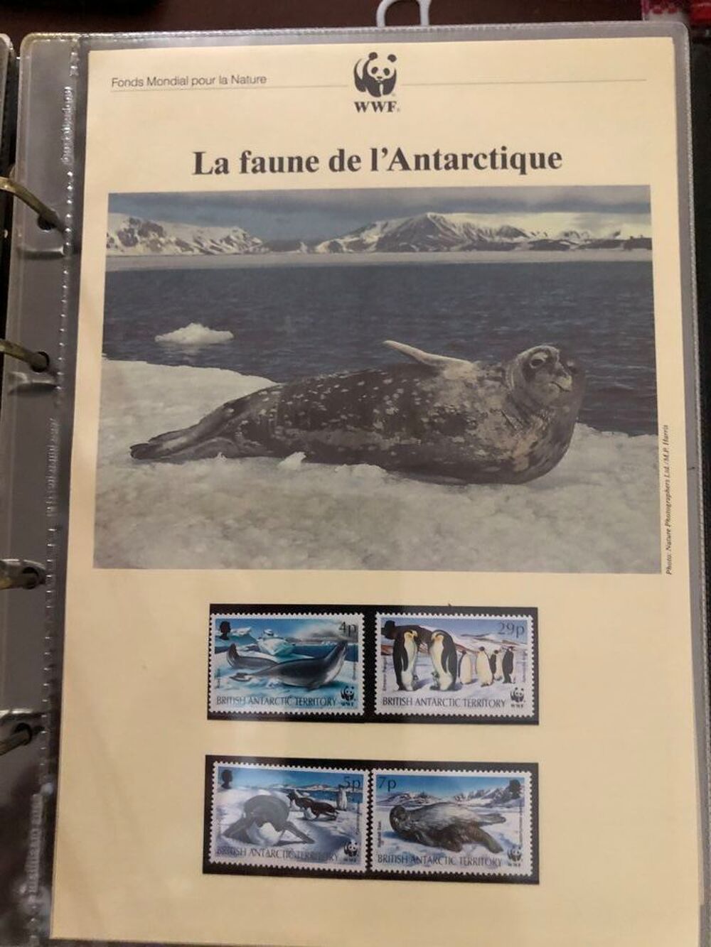 timbres de collection 