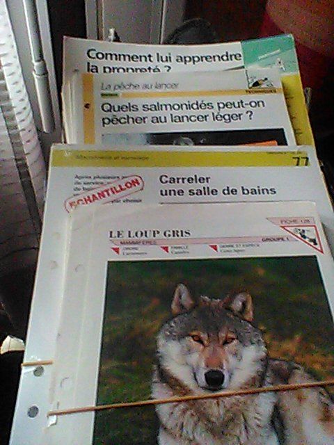 fiches atlas 0 Champs-sur-Yonne (89)