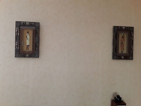 duo de cadre 3D th�me Afrique 0 Creutzwald (57)