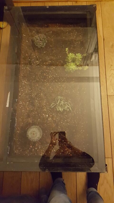 Table basse vgtale 150 Issy-les-Moulineaux (92)