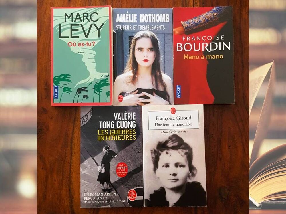 Litt&eacute;rature contemporaine - Lot 5 romans Poche Pocket Livres et BD