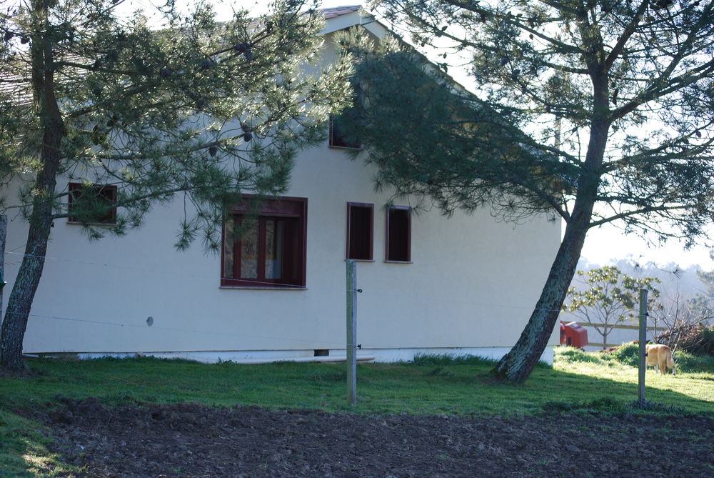 Location Maison Maison a la campagne entouré de verdure Savignac-de-duras