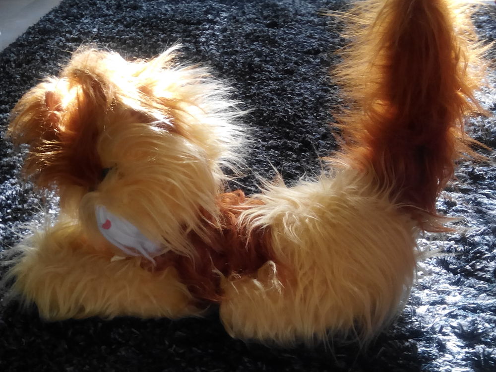 Peluche : chat couch&eacute; 
Jeux / jouets