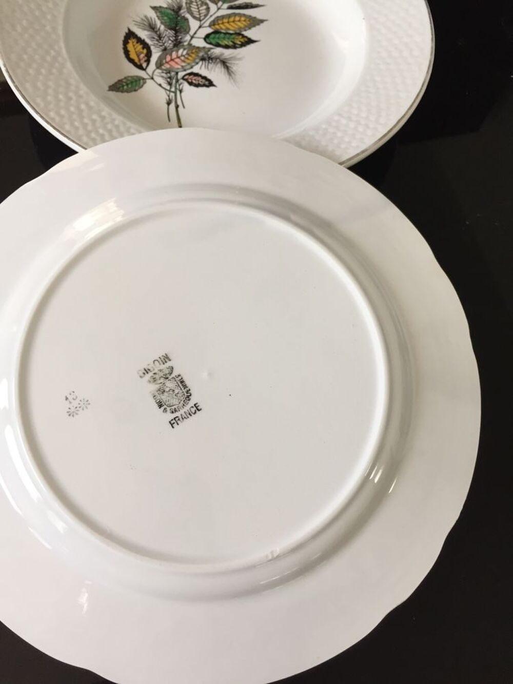 Duo d?assiettes Sarreguemines Dcoration
