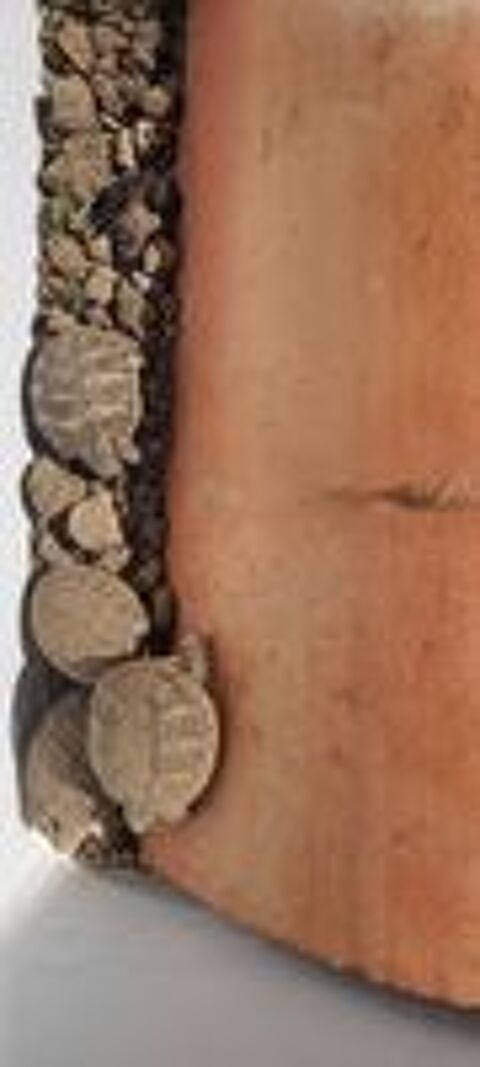   Tortues  