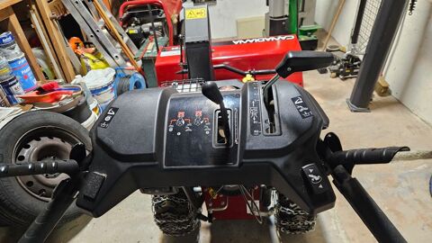 FRAISE A NEIGE CANADIAN BRIGGS & STRATTON Savigny (74)