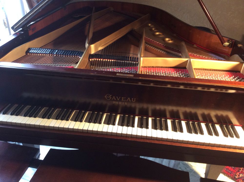 piano 1/2 queue 204cm 
Instruments de musique