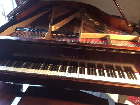 piano  1/2 queue   204cm 
5000 Villedubert (11)