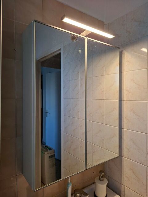 Articles salle de bain 30 Torcy (77)