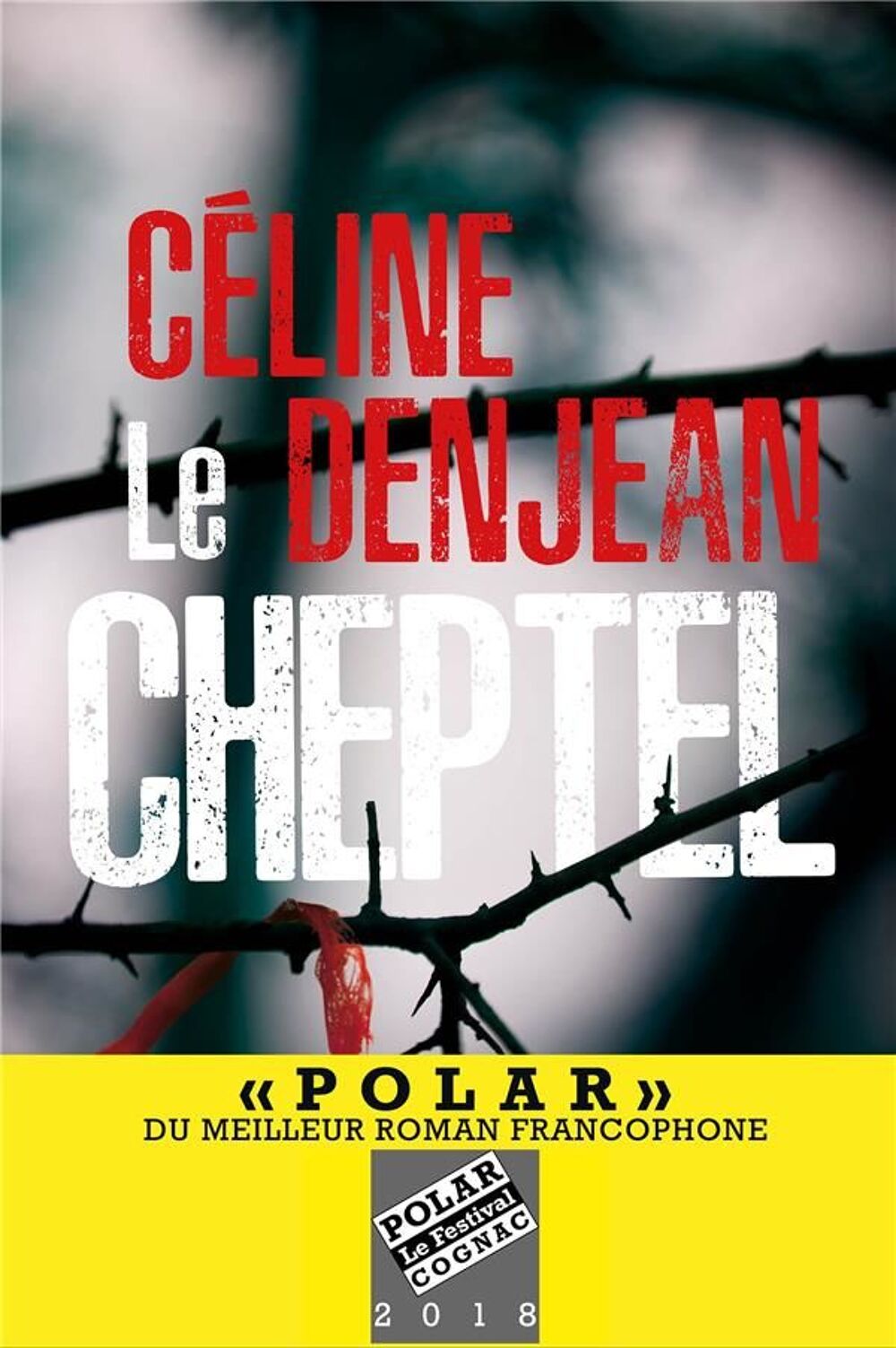Thriller de C&eacute;line Denjean Livres et BD