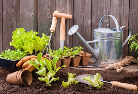 recherche jardin 0 28000 Chartres