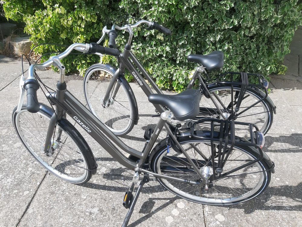 2 v&eacute;los gazelle Vlos