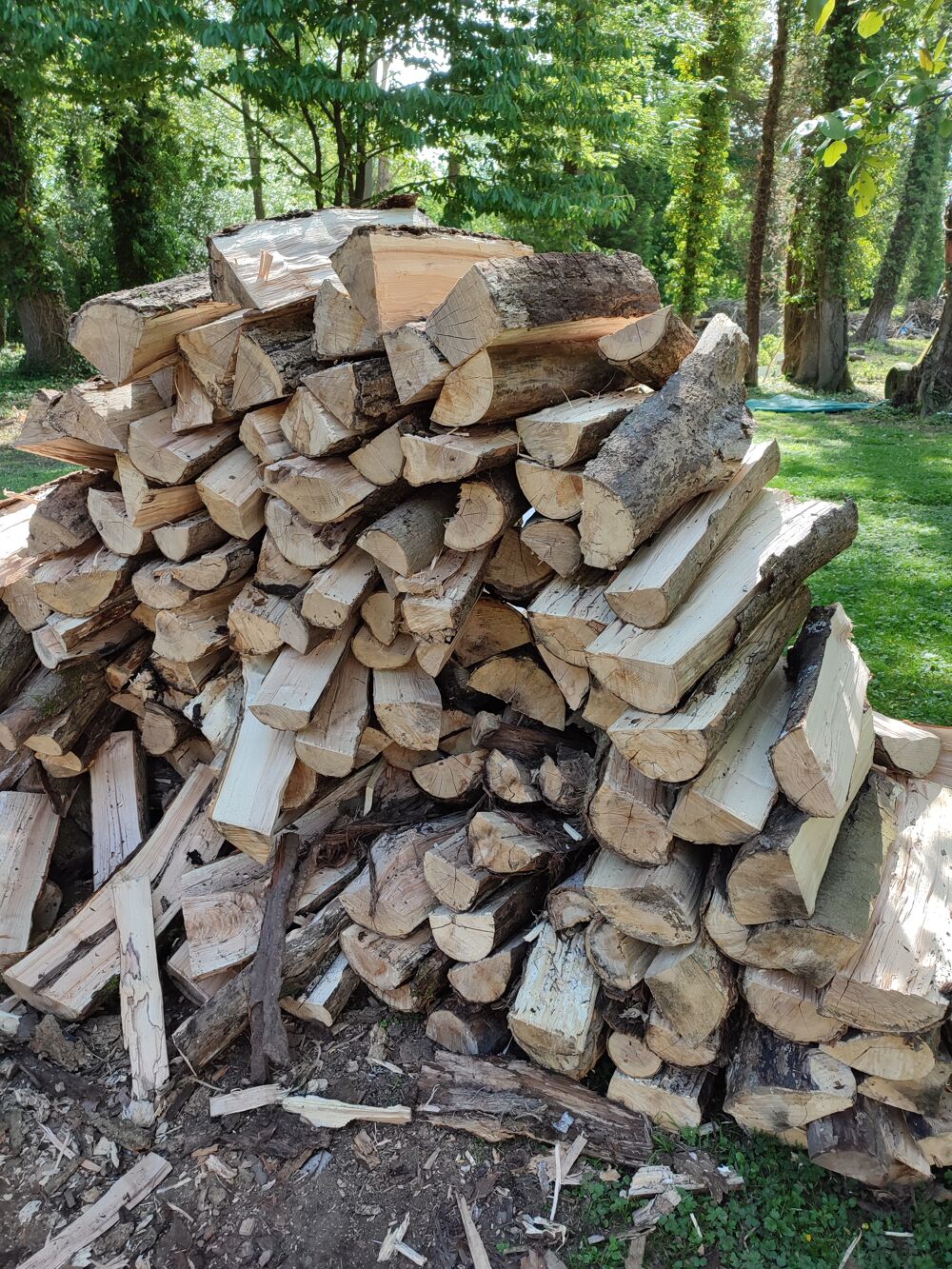 Bois de chauffage Jardin