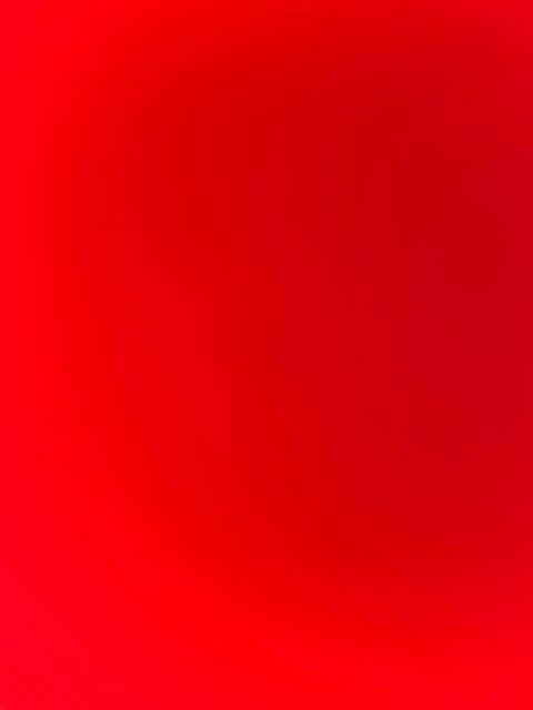 ACHAT DE VTT L OU XL LILLE 250 Lille (59)