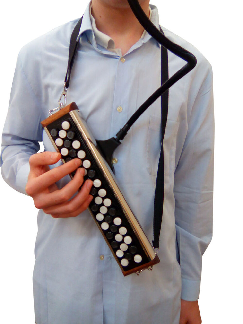 Accordina Version Accord&eacute;oniste Joseph Carrel Neuf !! Instruments de musique