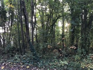  Terrain � vendre 1 m�