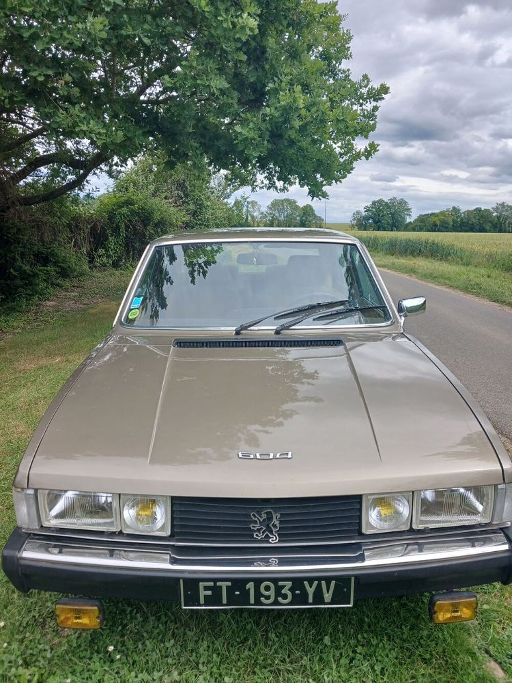 604 V6 GTi 1977 occasion 77120 Chailly-en-Brie
