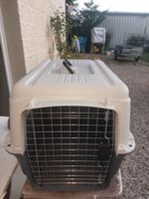   CAGE TRANSPORT CHIEN: Nomad 