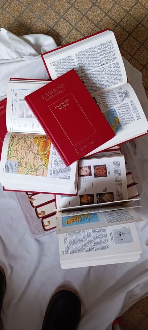 Dictionnaires 30 Avallon (89)