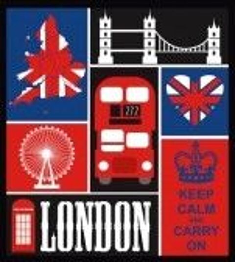 Professeur d'anglais donne cours particulier 0 06270 Villeneuve-loubet