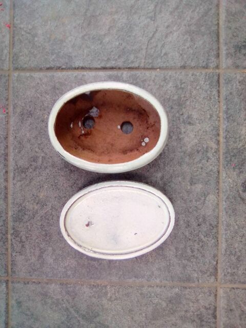 Pot Et Dessous De Pot (Fleurs / Plantes / Bonsa�s) 10 Arques (62)