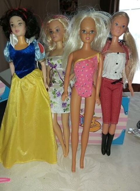 Poup�e Barbie 20 Saint-Euphr�ne (21)