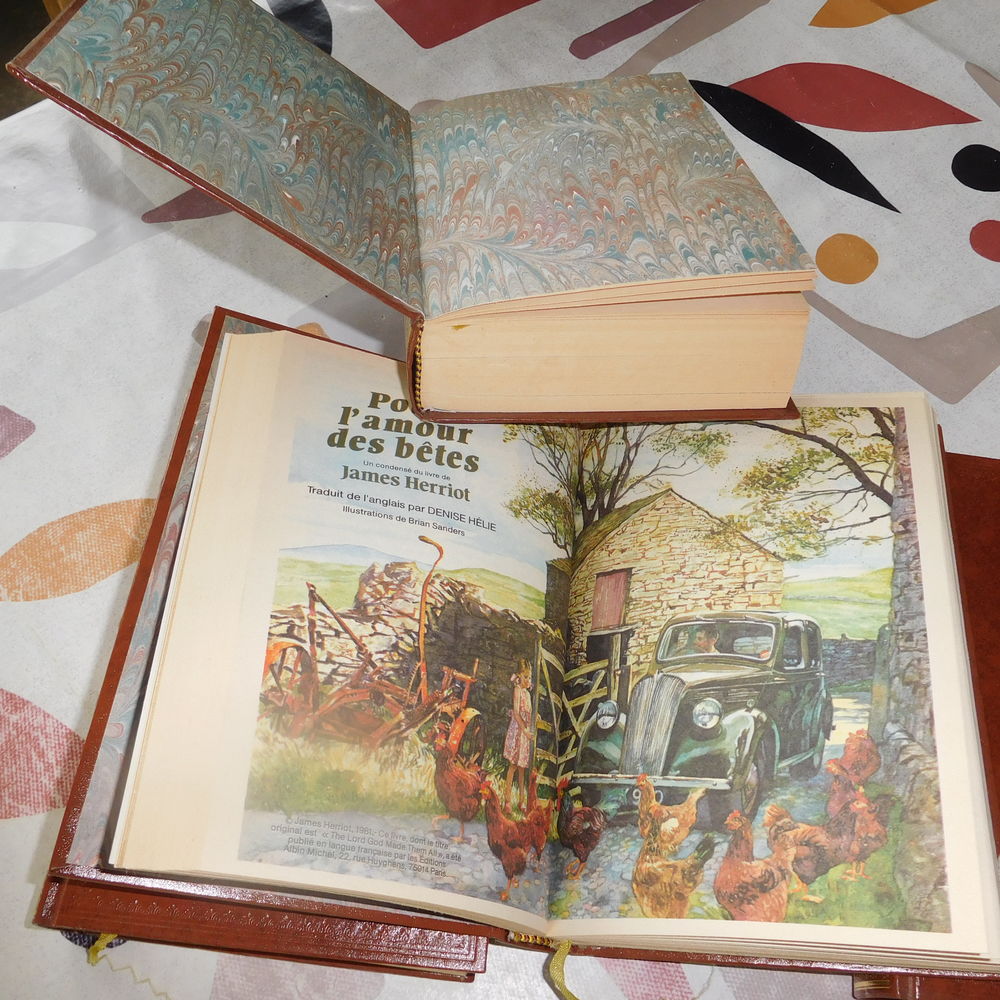 livre s&eacute;lection du livre (3 ) Livres et BD