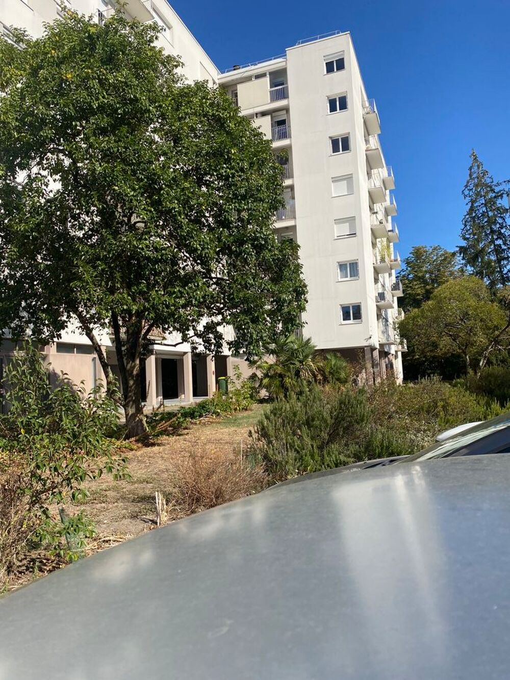 Vente Appartement Appartement T3/4 Bordeaux Cauderan Centre-ville Bordeaux