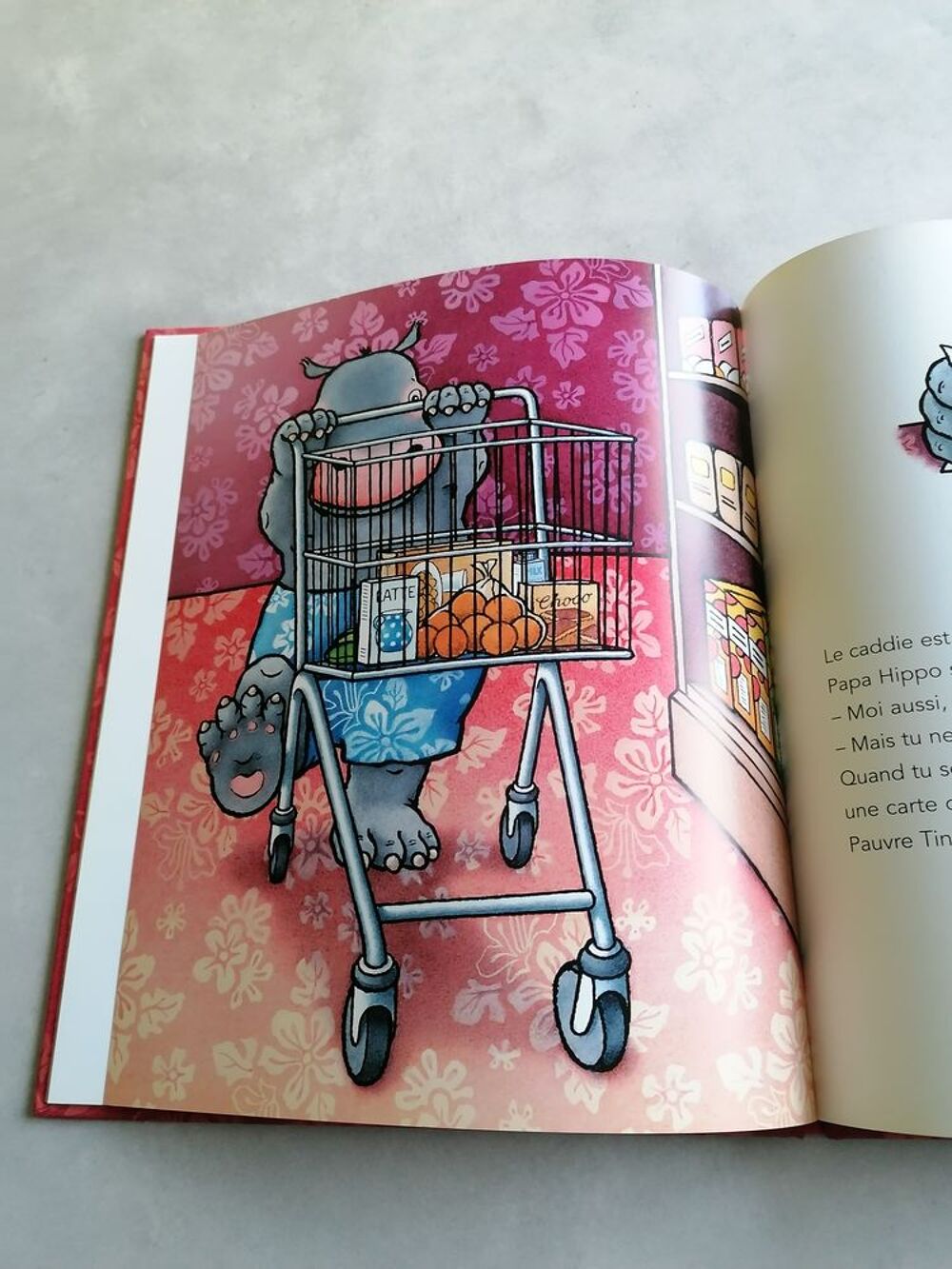 Livre enfant Tino et papa Livres et BD