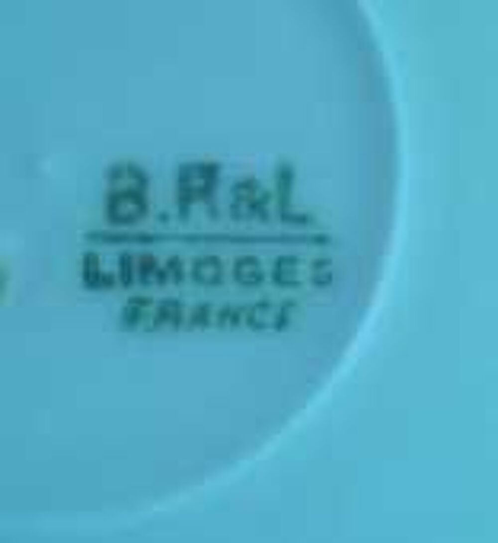 porcelaines de Limoges Electroménager