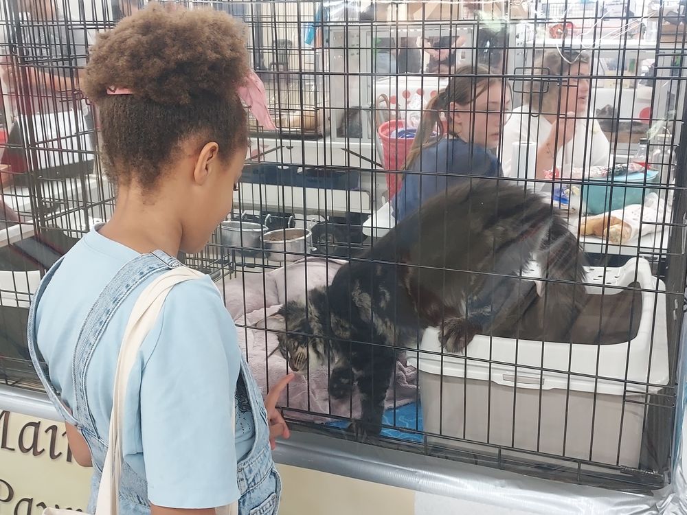 2 billets le salon Animal Expo les 24 et 25 octobre &agrave; Paris Billetterie