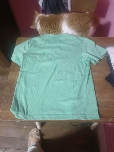 10€ cinq shit short taille 8 ans 10 Accolay (89)
