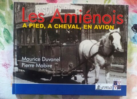 LES AMIENOIS T2 A PIED, A CHEVAL, EN AVION DUVANEL MABIRE 15 Bubry (56)