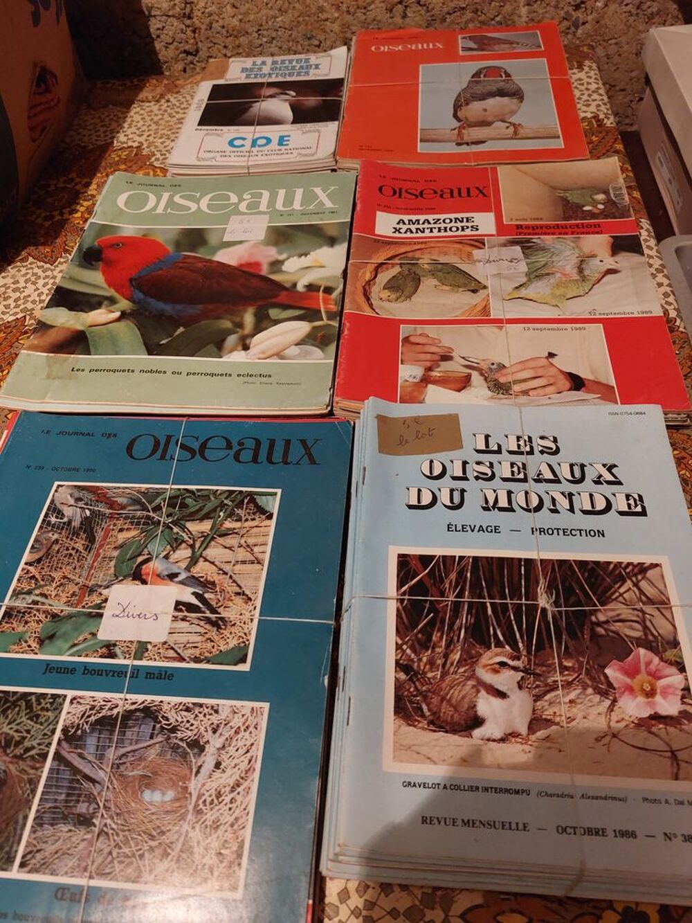   Revue sur les oiseaux 
