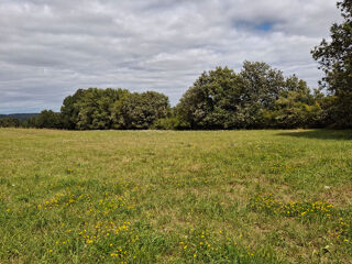  Terrain � vendre 1985 m�