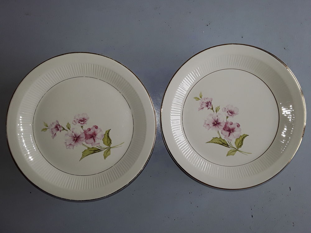 Un lot assiettes orchies moulin des loups modele chevreuse Cuisine