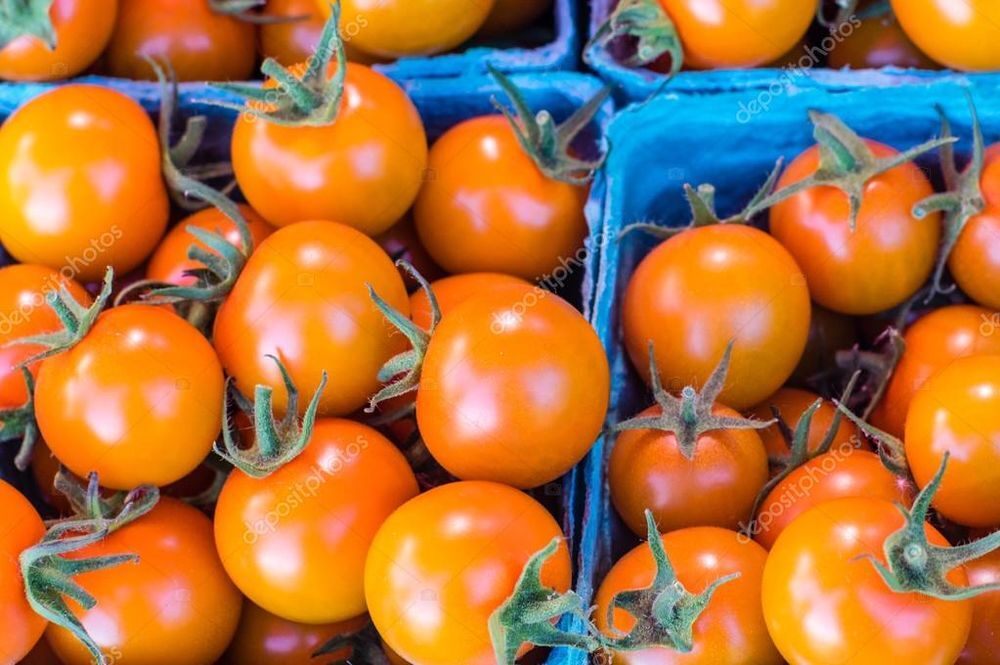 Tomates - tomates cerise diverses vari&eacute;t&eacute;s Jardin
