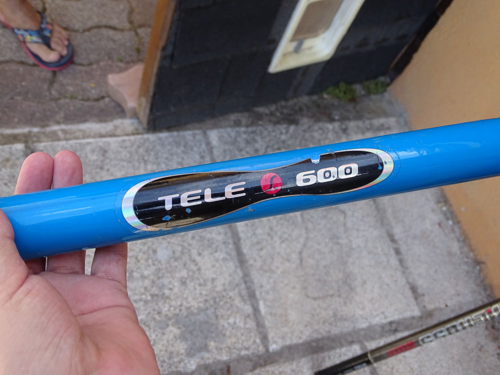 canne &agrave; p&ecirc;che de marque GEOLOGIC Sports