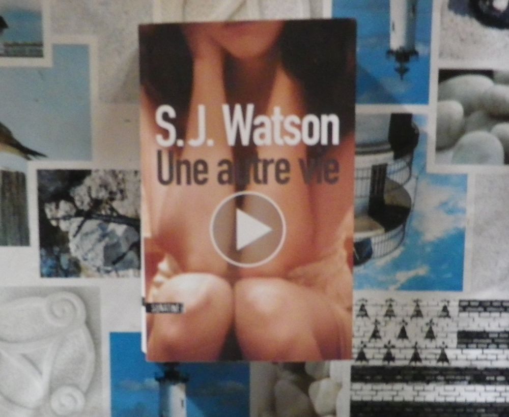 UNE AUTRE VIE de S.J. WATSON Ed. Sonatine THRILLER Livres et BD