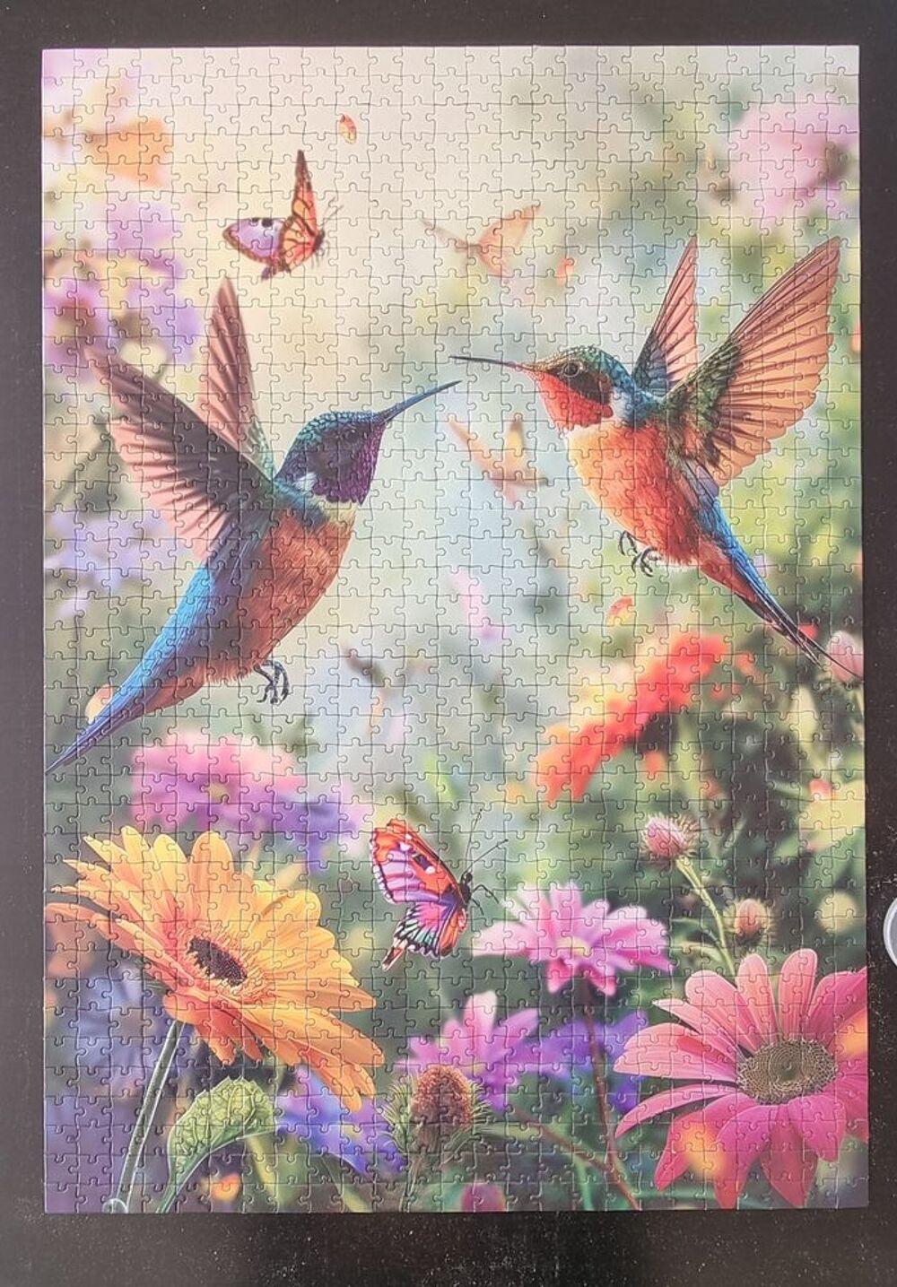 Puzzle de 1000 pi&egrave;ces oiseaux Jeux / jouets