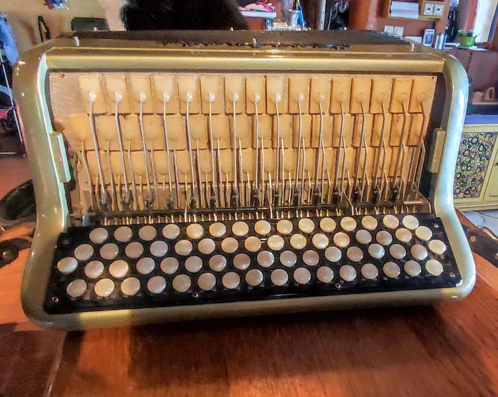 Accord&eacute;on diatonique Cavagnolo Instruments de musique