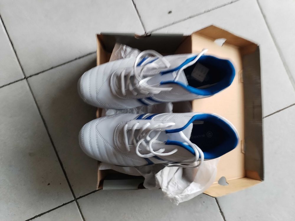 Une paire de baskets sport Sports